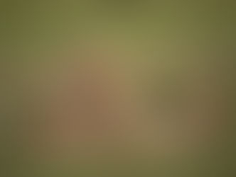 MOTOROGI, MASAI MARA 2018