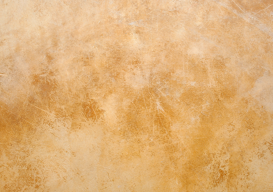 SCULT GOLD GRAPHICS.png