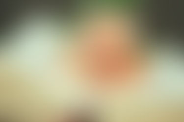 Recommended Spiritual Books That Blend Science, Intuition, and Consciousness