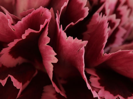 Grief Leaves Nothing to Judge