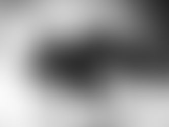 Rising From the Ashes: Hope and Action Amid Growing Wildfire Devastation