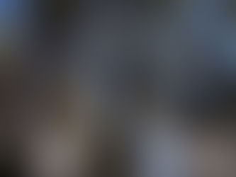 神聖なの東の森。