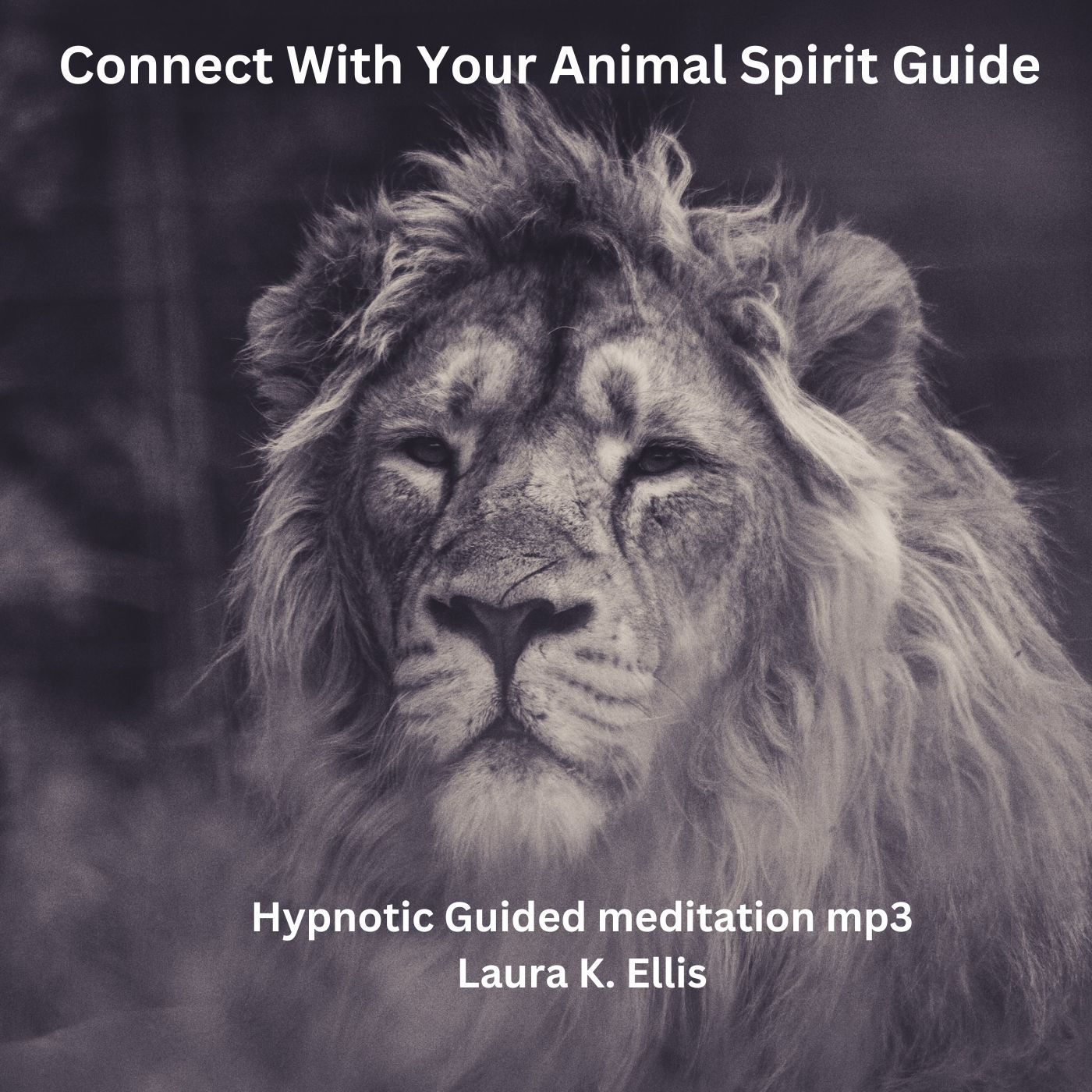 Connect with your Animal Guide Meditation mp3
