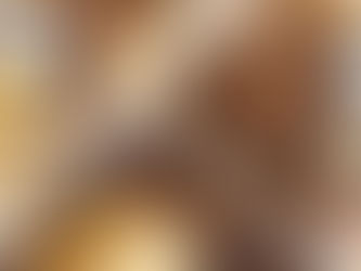 Platters at Local Boise Bistro Food Land Market