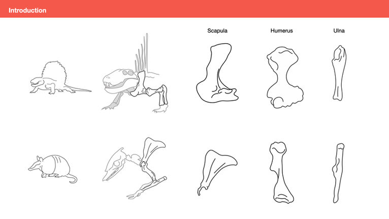 Dissertation slides.004.jpeg