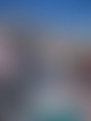 Shein shame: Who's to blame