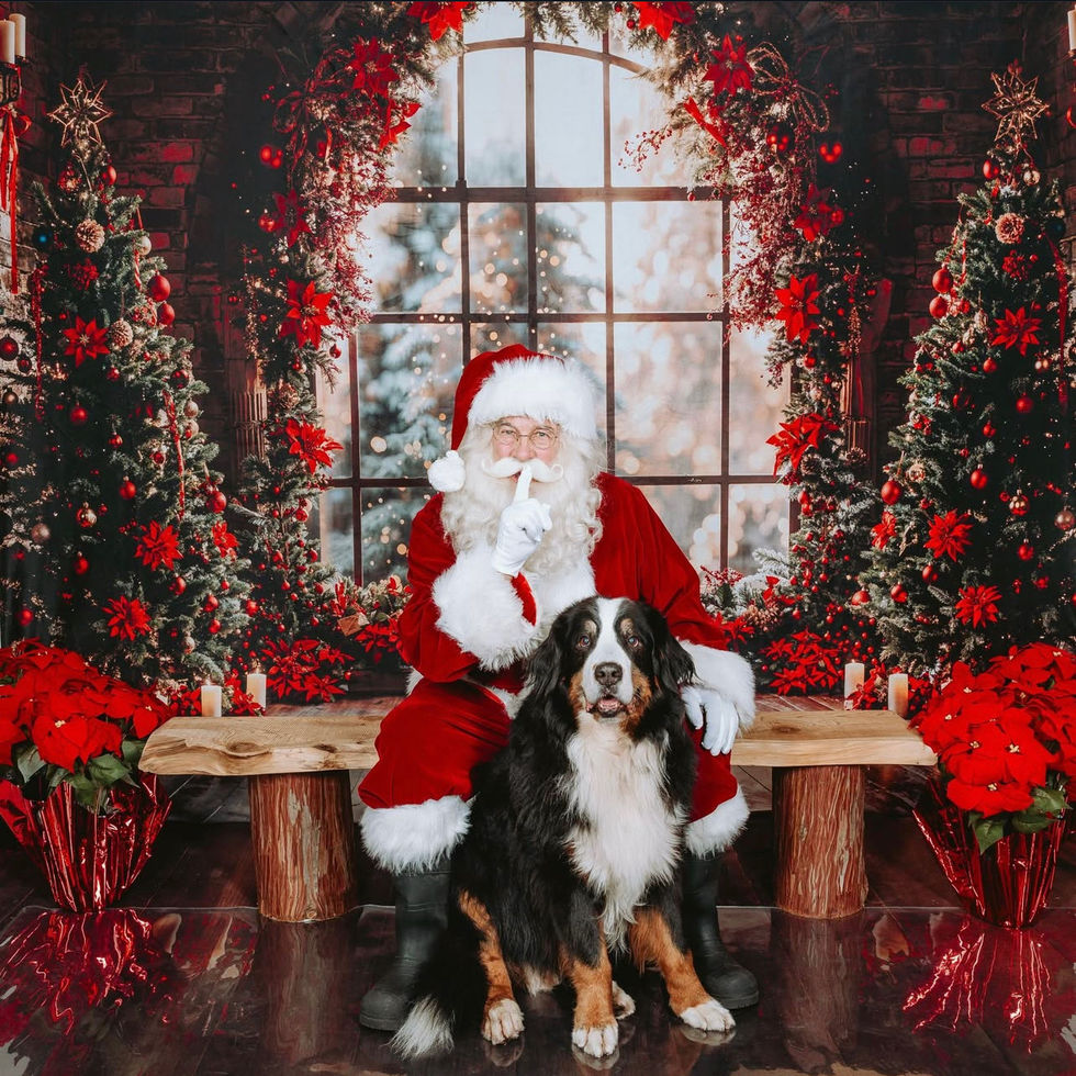 Studio Photos Sessions with Santa