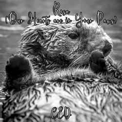 [0215|🎵] Rosa (Our Hearts are in Your Paws)