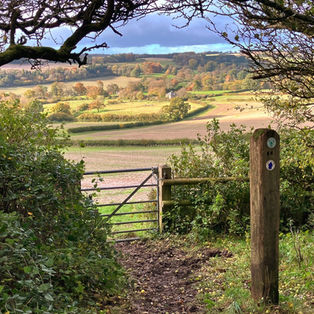 The path down to Minterne Parva