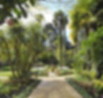 Abbotsbury subtropical gardens_edited.jpg