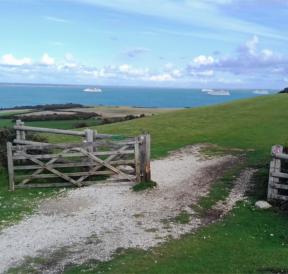 View of Ballard Down in autumn from the Purbeck Way walking route in Dorset (1)_edited.png