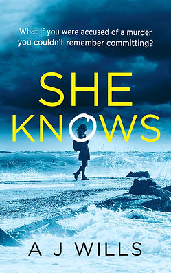 Wills_SheKnows_Murder tagline.jpg