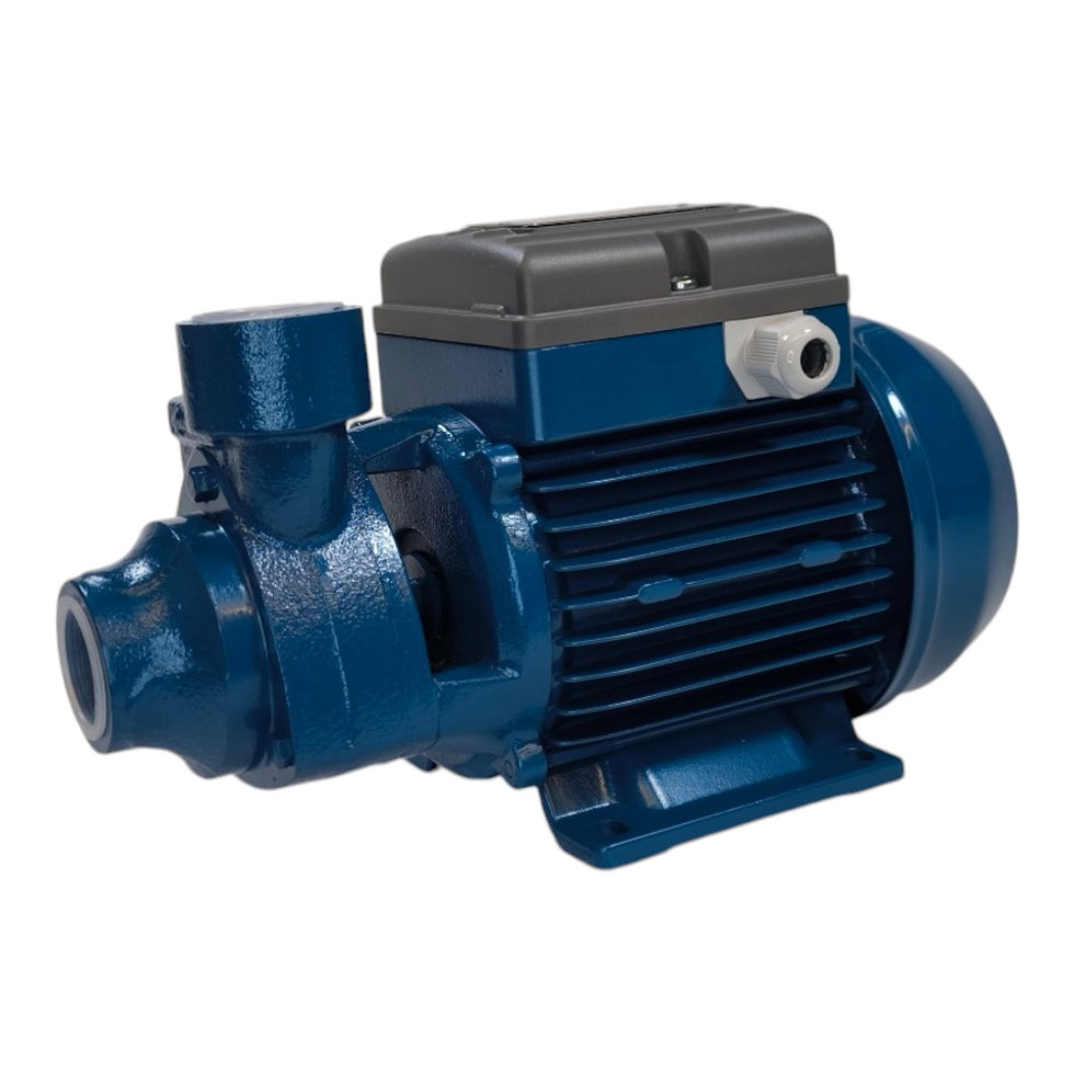 Thumbnail: PE50F - Electric Water Pump (40m, 40 l/min, 230V) Peripheral for home and garden