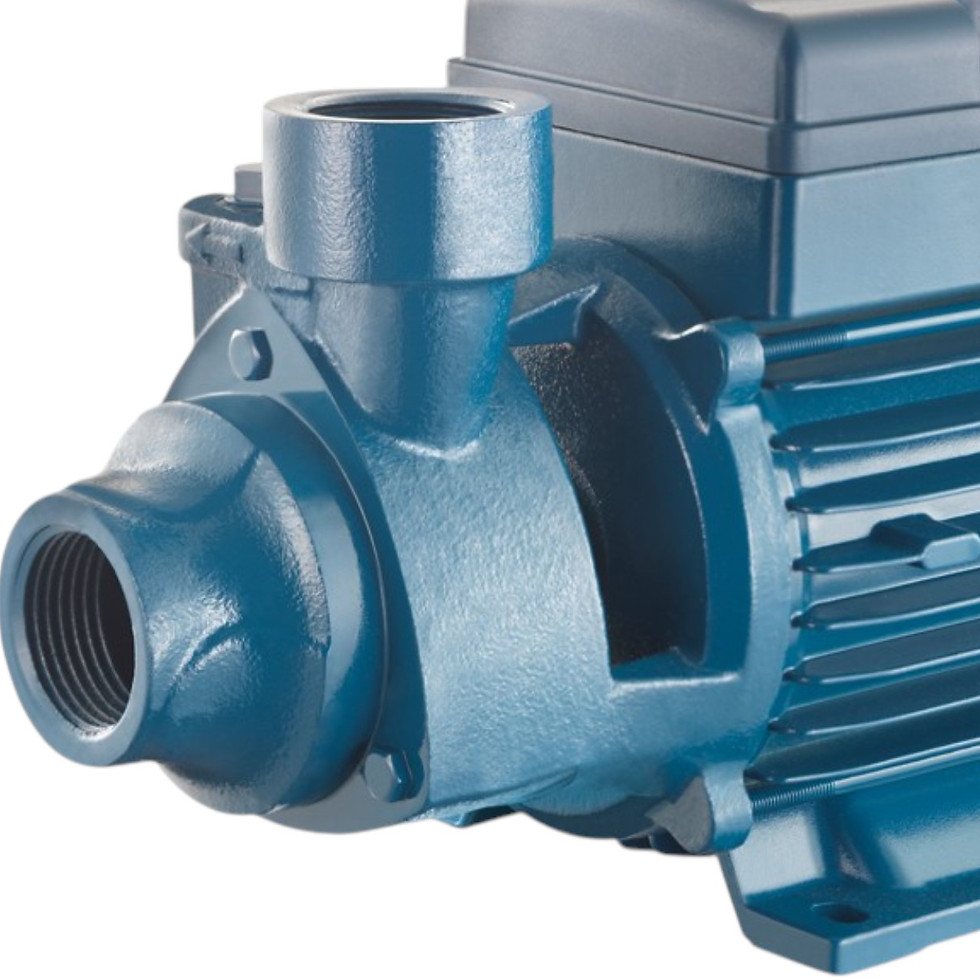 PM Peripheral positive displacement pump