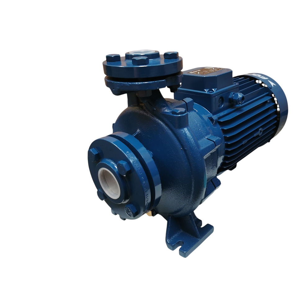 Thumbnail: MN32-200A1 - Monoblock Agricultural Pump for irrigation (58.3 m 500 l/min)