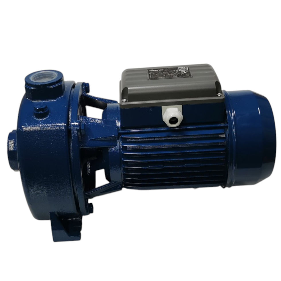 Miniatyrbild: KBJ200T - Gängad centrifugalpump (41.8 m, 170 l/min, 400V)
