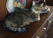 IMG_0765.JPEG