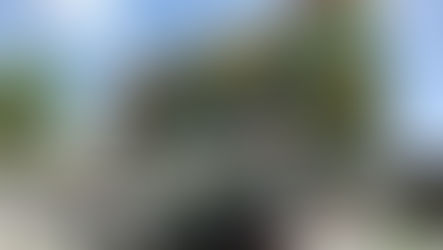 העירה - על מעבר אוניברסיטת חיפה לעיר התחתית