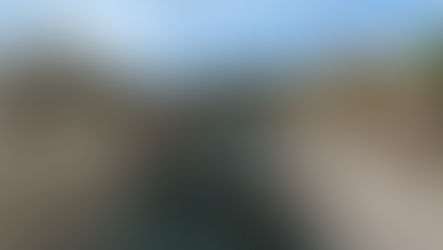 שבילים במקום כבישים, עצים במקום אנשים - לדמיין את חיפה ללא כבישים