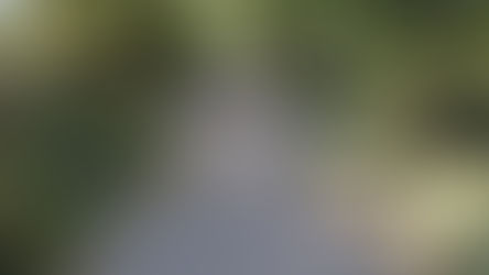 בכל זאת יש בה משהו