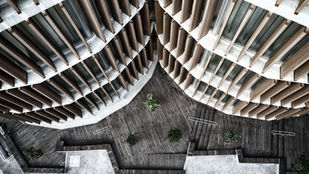 האיש הירוק כל ימות השנה - ראיון עם אדר' יוסי קורי