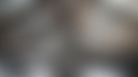 האיש הירוק כל ימות השנה - ראיון עם אדר' יוסי קורי