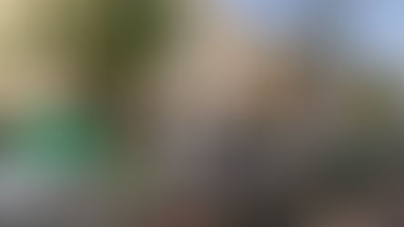 ללמוד משיכוני הבריגדה בבת גלים