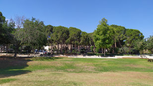 שבעים שנה לקמפוס הטכניון בנווה שאנן