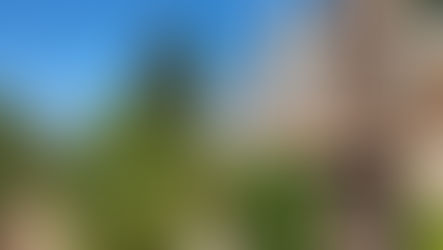 נעילת שערים בחיפה, המקרה של ואדי עמיק