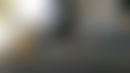 סיור בגן קסל המחודש בהדר (או גן נתן בשמו הרשמי)