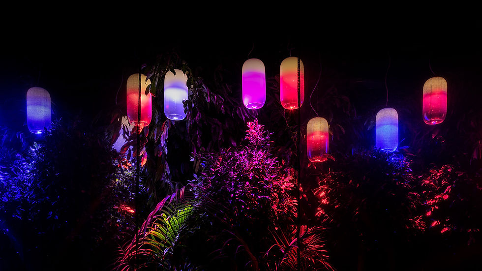 Miniature : GOPLE - ARTEMIDE - Suspensions