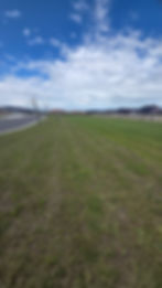 Freshly mown grass in Christchurch