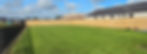 Freshly mown lawn in a Christchurch backyard