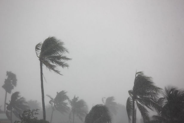 AdobeStock_227063654.jpeg
