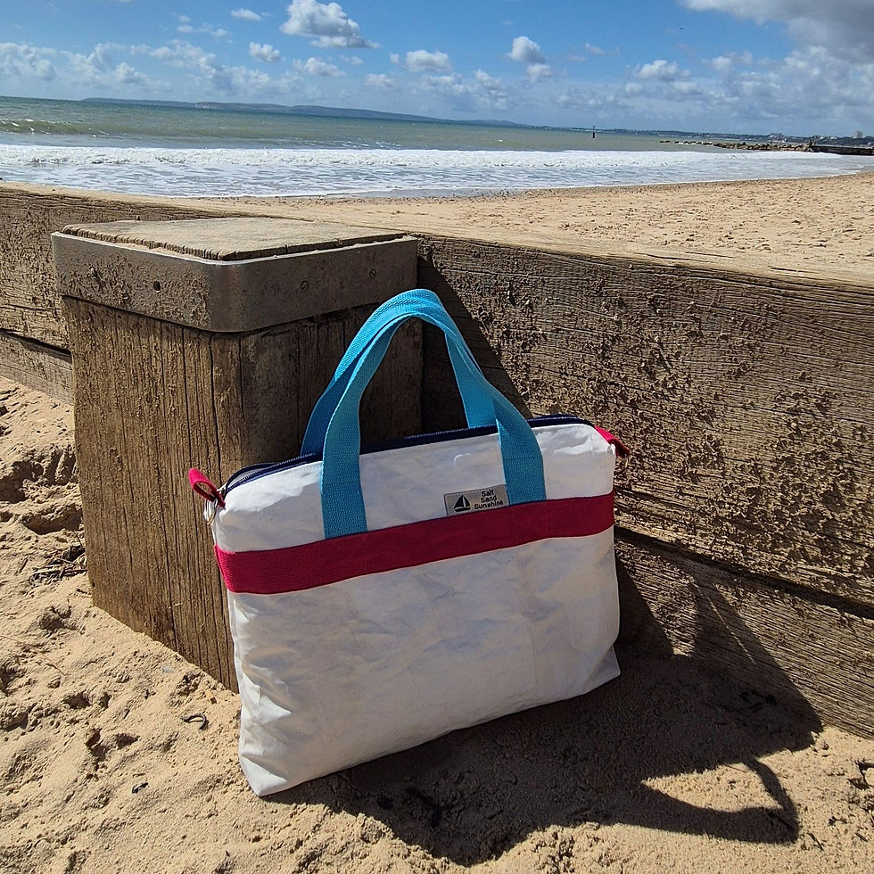 White horizontal Sail Bag with blue handles and raspberry belt, black zip