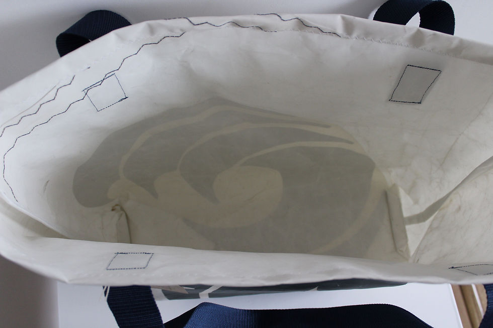 Thumbnail: inside the bag is simple and plain. the stitches of the handles are visible