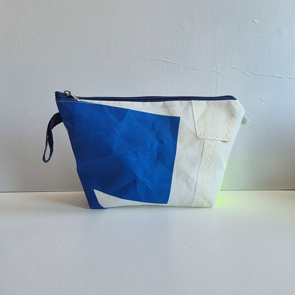 Thumbnail: White Washbag with blue Sticker middle left,  blue hook on left, blue zip on top. White background
