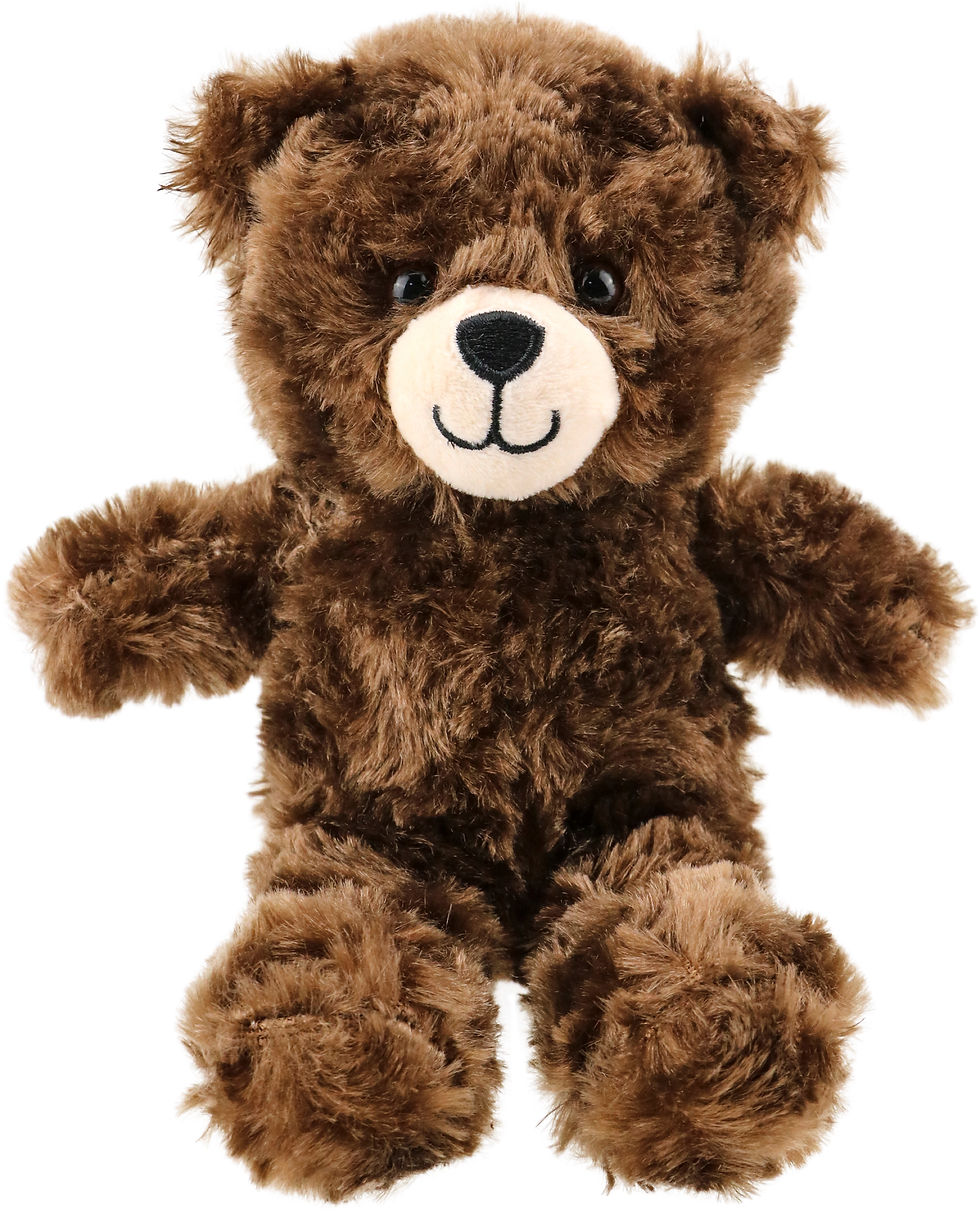 a938 - Honey Bear, Fuzzy Style