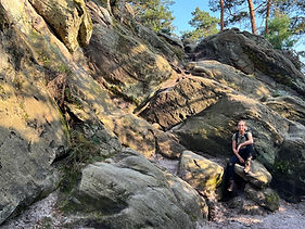 Vom Gefühl zur Wissenschaft - Waldbaden