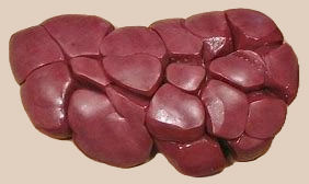 Thumbnail: Beef Entrails