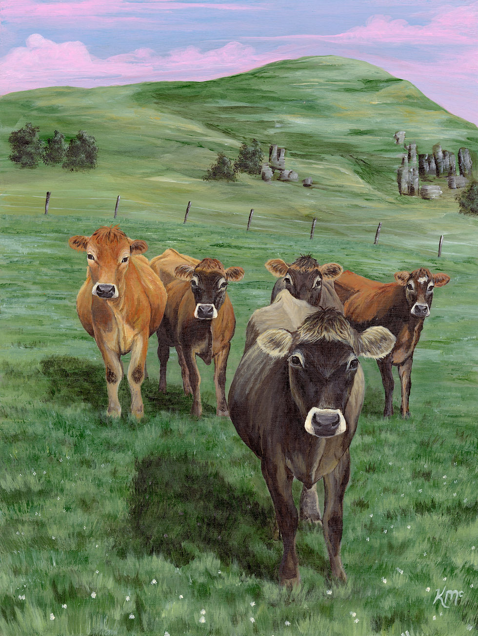 Thumbnail: "Jersey heifers"