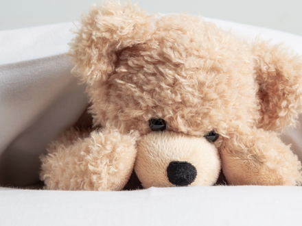 Building Strong Immune Systems in Children