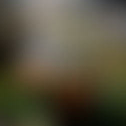 Illuminated Retro Tram