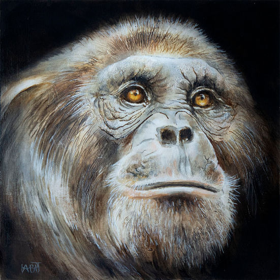 Singe n°5 - Lueur intérieure