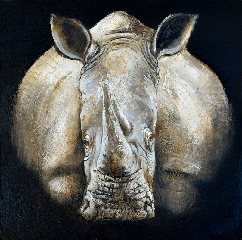 Rhinocéros n°14
