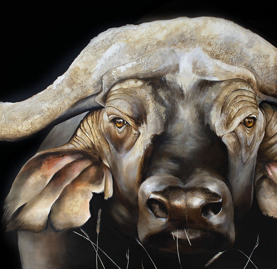 Buffle n°7 - Force silencieuse