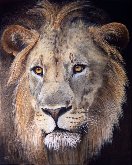 Lion n°15 - Souverain