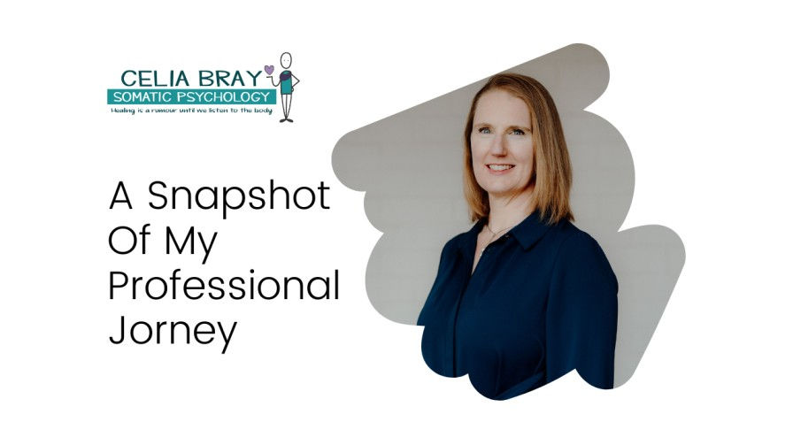 A Snapshot of My Professional Journey 