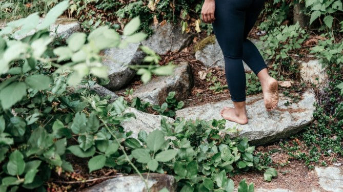 somatic trauma release exercises