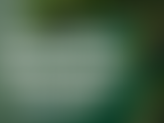 How to End the Year Strong with Better Systems and Support